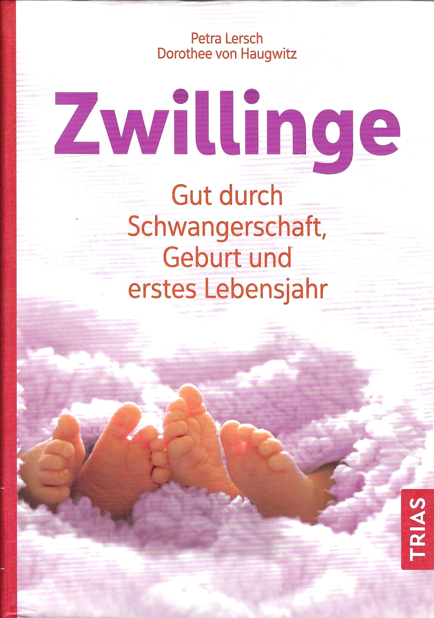 Zwillinge - gut durch Schwangerschaft, Geburt und erstes Lebensjahr Zwillingsbuch Schwangerschaft und erstes Lebensjahr – Band 1